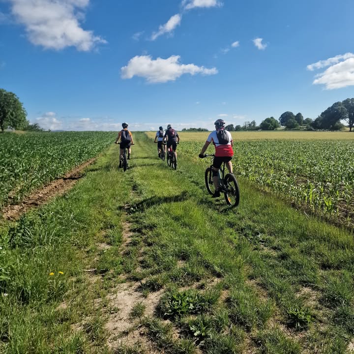 ADN-ebikes
