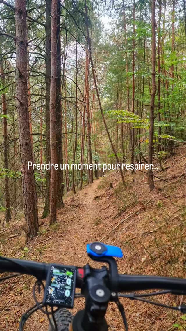 ADN-ebikes