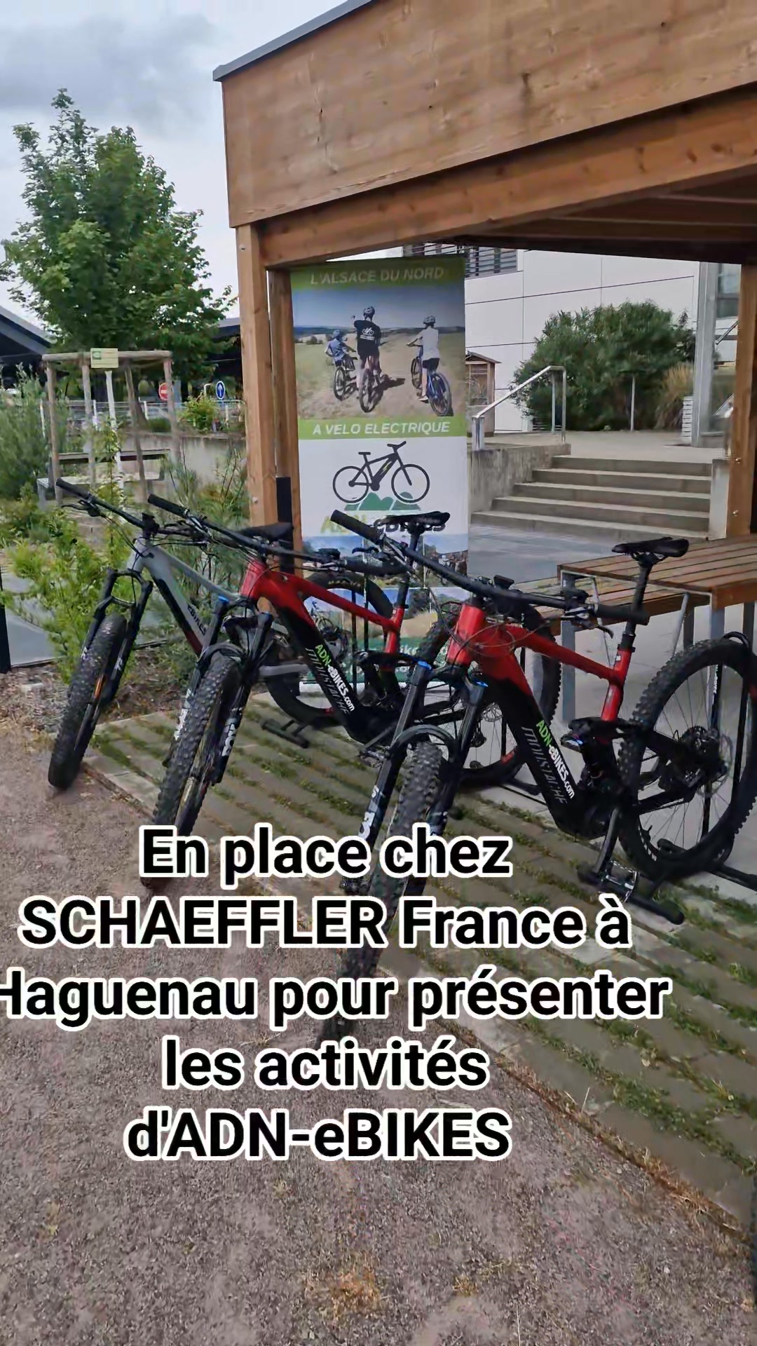 ADN-ebikes